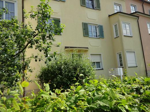 Wohnung mieten Zwickau gross qbj8ylwgupk2
