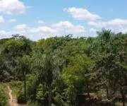 Gewerbe kaufen Acahay klein p8xbaydfwekc