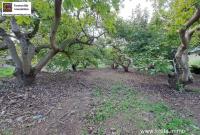 Gewerbe kaufen Armeni klein ut65v06nljd4