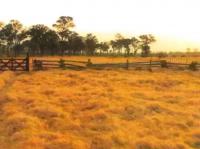 Gewerbe kaufen Asuncion klein 73azonvsot77