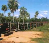 Gewerbe kaufen Asuncion klein s82n1hchf6wz