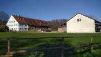Gewerbe kaufen Bad Waldsee klein 2icvv8afn2y0