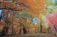 Gewerbe kaufen Berlin klein fj6eppb4wdhi