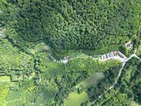 Gewerbe kaufen Bockenau klein cx784ozxc3od