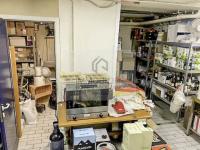 Gewerbe kaufen Bozen klein d4306zuyesng