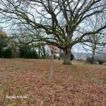 Gewerbe kaufen Bünde klein t5wg0clfqtzx