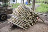 Gewerbe kaufen Cachoeiras de Macacu klein 146cjppl49uz