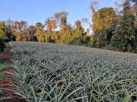 Gewerbe kaufen Comandante Andresito klein bj1quk4j47l5