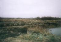 Gewerbe kaufen Danzig klein hmpwqi8yudqb