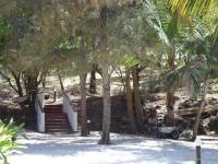 Gewerbe kaufen Dongwe klein l05hs6o4wemr