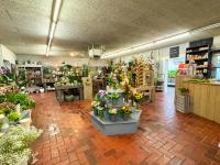 Gewerbe kaufen Emlichheim klein kv1syni5bl9l