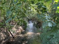 Gewerbe kaufen Felsberg klein kg1dtioy66pn