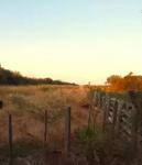 Gewerbe kaufen Fuerte Olimpo klein vwlognfyc30m