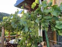 Gewerbe kaufen Gerolstein klein zgwfx9446nwm