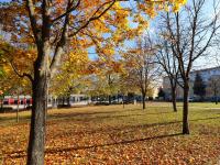 Gewerbe kaufen Guben klein 4b95r0wxnydf