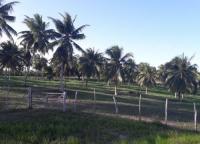 Gewerbe kaufen klein 730f4w2i6zsv