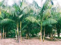 Gewerbe kaufen klein nvqje7sdqo4i