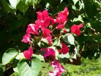 Gewerbe kaufen Ilhéus klein 49oip221fze2