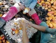 Gewerbe kaufen Ilhéus klein gtrrwsn13vdq