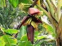 Gewerbe kaufen Ilhéus klein pkcjpd7mgzn5