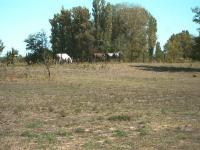 Gewerbe kaufen Jakabszállás klein 3r8x2p0woajs