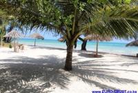 Gewerbe kaufen Kinondo Sacred Forest/ Galu Beach klein fi6xwwq8gu0e