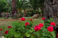 Gewerbe kaufen Korfu klein drbktxmowism