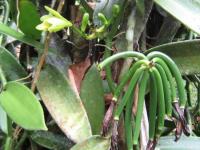 Gewerbe kaufen La Virgen klein 7absxybv3u2k