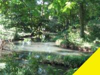 Gewerbe kaufen La Virgen klein sn7uho7ea8hg