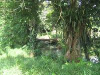 Gewerbe kaufen La Virgen klein xymhh8yv4c5u