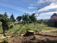 Gewerbe kaufen Magdeburg klein 17ngal76h9pb