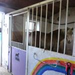 Gewerbe kaufen Oldenburg in Holstein klein twcsaiikftyc