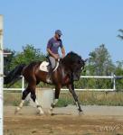 Gewerbe kaufen Osijek, Kroatien klein o4n4ptr4hgjb