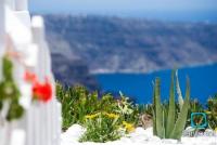 Gewerbe kaufen Santorini - Thira klein ba5il279a2d4