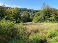 Gewerbe kaufen Sundern (Sauerland) klein on3zf93ajg5o