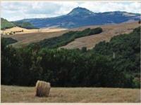 Gewerbe kaufen Val di Chiana klein f1kuv3alrjbp