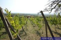 Gewerbe kaufen Vinica klein 8djojncwrgtb