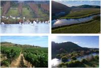 Gewerbe kaufen Yerbas Buenas klein 8rgdtnbv4oij