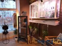 Gewerbe mieten Berlin klein n8cfiwc3e08r