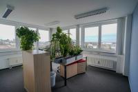 Gewerbe mieten Heidelberg klein jqyuup1mkh67
