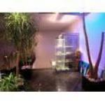 Gewerbe mieten Kehl klein 7zd60npm0s4o