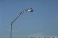 Gewerbe mieten Lübben (Spreewald) klein 565pfebt0ohi