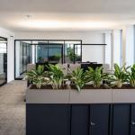 Gewerbe mieten Mannheim klein tbe872jsp6tj