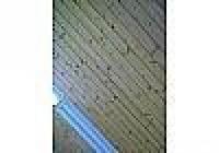 Gewerbe mieten Rottweil klein wq7s2bpsex93