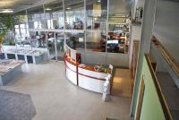 Gewerbe mieten Wilsum klein bj3n1uph28ux