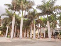 Grundstück kaufen Adeje klein 9k7a63rwlbl4