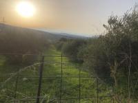 Grundstück kaufen Adelebsen klein 51p5glp2anbr