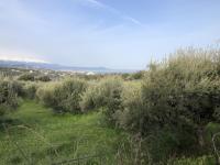 Grundstück kaufen Adelebsen klein 7tmdgvf9b6p7