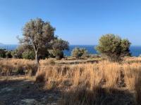 Grundstück kaufen Ag. Paraskevi bei Triopetra klein 19gcma62r03s