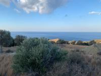 Grundstück kaufen Ag. Paraskevi bei Triopetra klein ekzkdr1sabcs